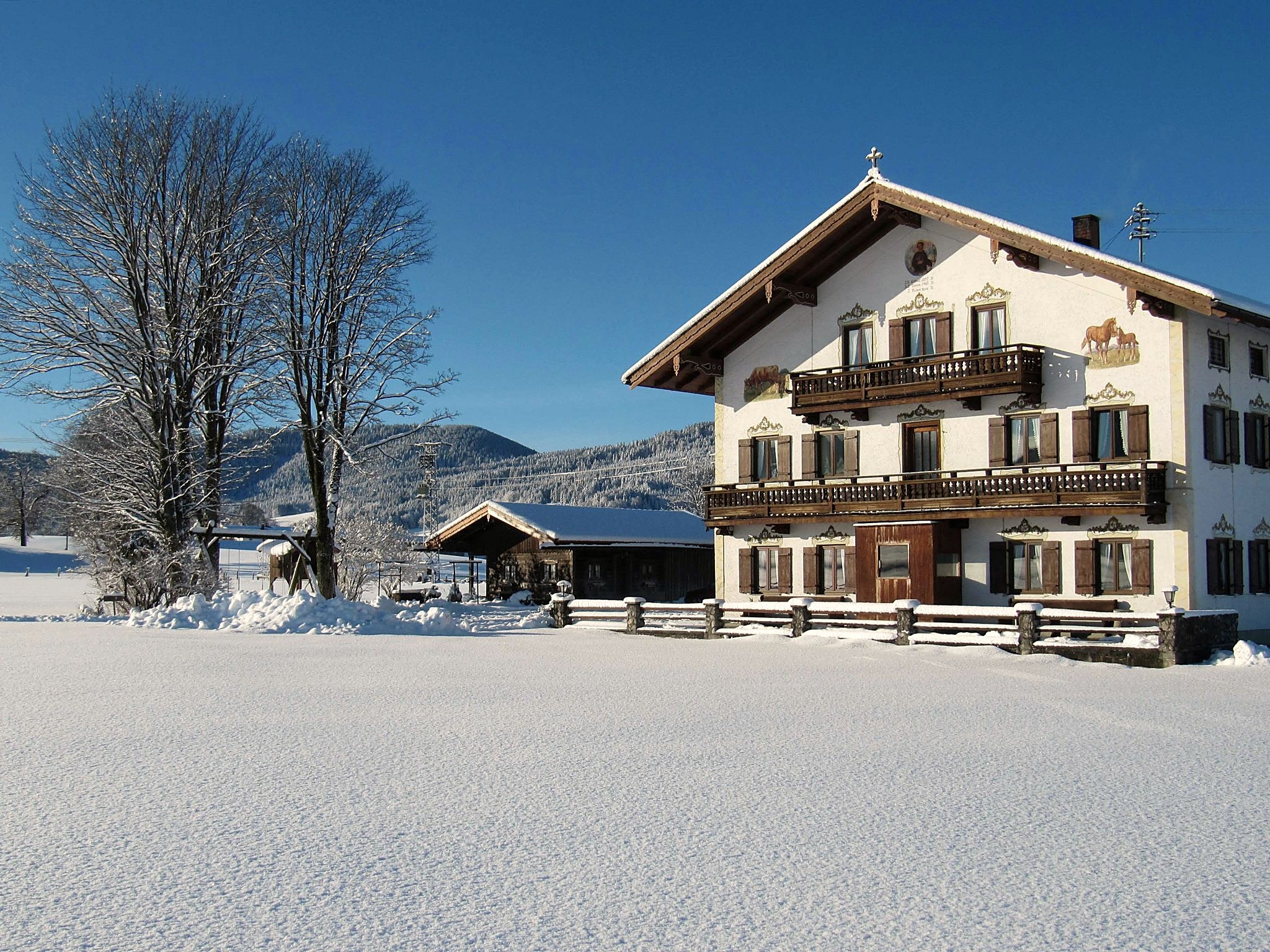 Winter