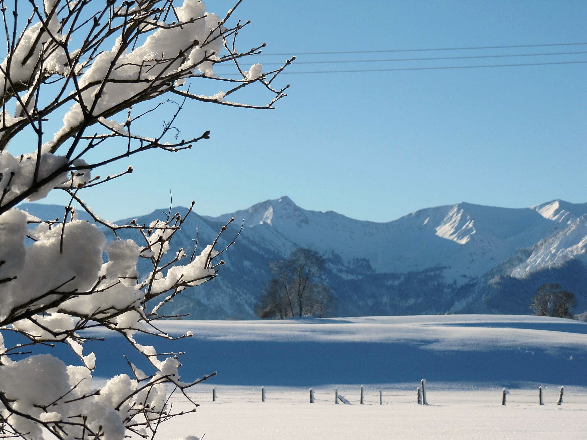 Winter